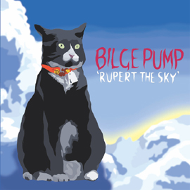 Bilge Pump